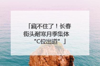 藏不住了！长春街头耐寒月季集体“C位出道”
