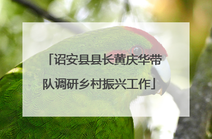 诏安县县长黄庆华带队调研乡村振兴工作