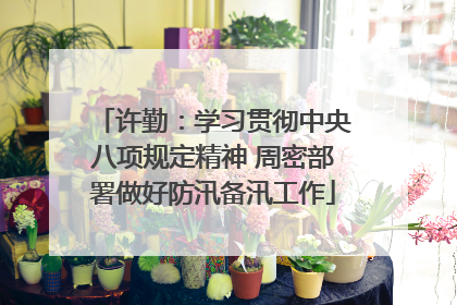 许勤：学习贯彻中央八项规定精神 周密部署做好防汛备汛工作