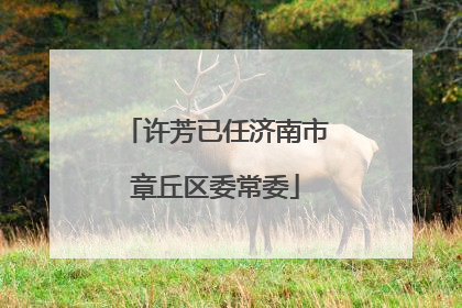 许芳已任济南市章丘区委常委