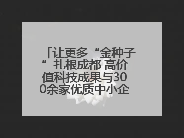 让更多“金种子”扎根成都 高价值科技成果与300余家优质中小企业精准对接