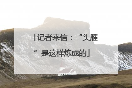 记者来信：“头雁”是这样炼成的