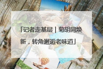 记者走基层｜菊胡同焕新，转角邂逅老味道
