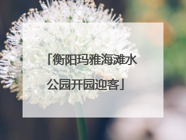 衡阳玛雅海滩水公园开园迎客