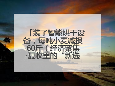 装了智能烘干设备，每吨小麦减损60斤（经济聚焦·夏收里的“新选手”）