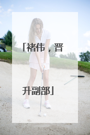 褚伟，晋升副部