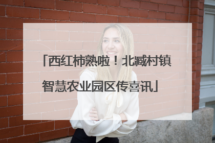 西红柿熟啦！北臧村镇智慧农业园区传喜讯