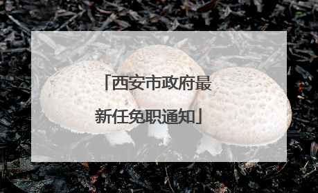 西安市政府最新任免职通知