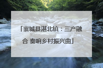 襄城县湛北镇：三产融合 奏响乡村振兴曲