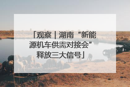 观察｜湖南“新能源机车供需对接会”释放三大信号