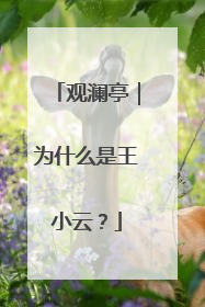 观澜亭｜为什么是王小云？