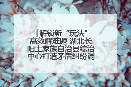 解锁新“玩法” 高效解难题 湖北长阳土家族自治县综治中心打造矛盾纠纷调处“终点站”
