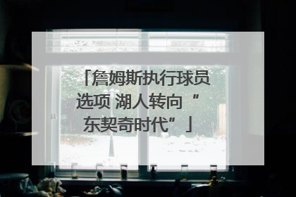 詹姆斯执行球员选项 湖人转向“东契奇时代”