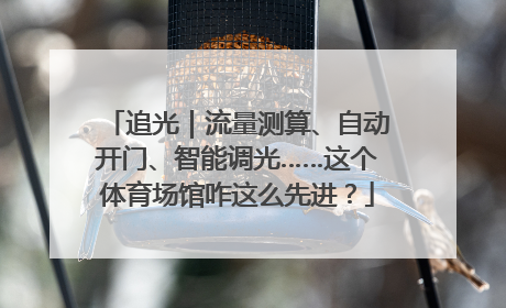追光｜流量测算、自动开门、智能调光……这个体育场馆咋这么先进？
