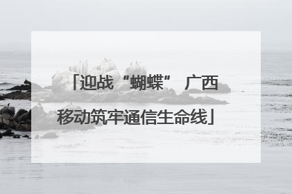 迎战“蝴蝶” 广西移动筑牢通信生命线