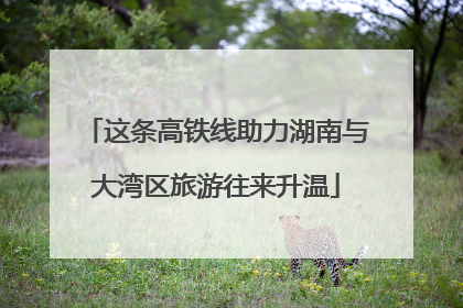 这条高铁线助力湖南与大湾区旅游往来升温