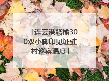 连云港赣榆300双小脚印见证驻村巡察温度