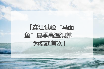 连江试验“马面鱼”夏季高温混养 为福建首次