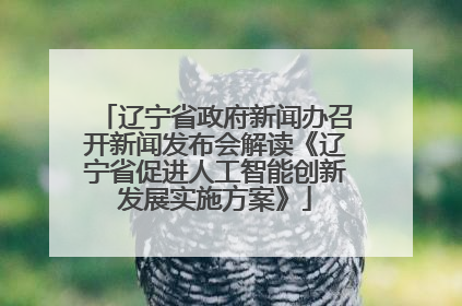 辽宁省政府新闻办召开新闻发布会解读《辽宁省促进人工智能创新发展实施方案》
