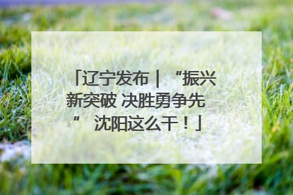辽宁发布｜“振兴新突破 决胜勇争先” 沈阳这么干！