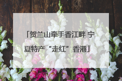 贺兰山牵手香江畔 宁夏特产“走红”香港