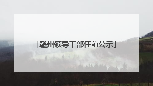 赣州领导干部任前公示