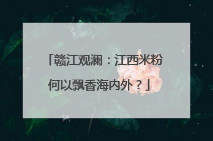 赣江观澜：江西米粉何以飘香海内外？