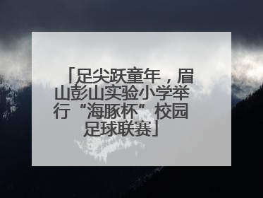 足尖跃童年，眉山彭山实验小学举行“海豚杯”校园足球联赛