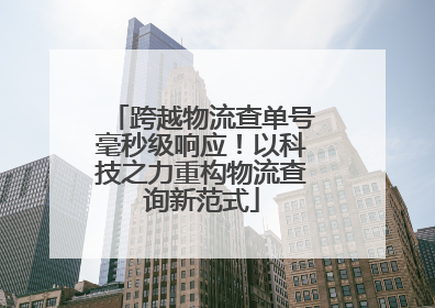 跨越物流查单号毫秒级响应！以科技之力重构物流查询新范式