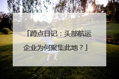 蹲点日记：头部航运企业为何聚集此地？
