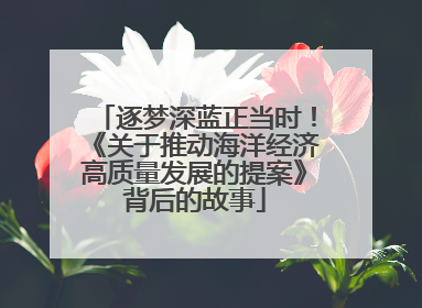 逐梦深蓝正当时！《关于推动海洋经济高质量发展的提案》背后的故事