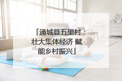 通城县五里村：壮大集体经济 赋能乡村振兴
