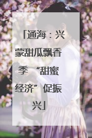 通海：兴蒙甜瓜飘香季 “甜蜜经济”促振兴