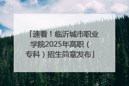速看！临沂城市职业学院2025年高职（专科）招生简章发布