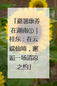 避暑康养在湖南①｜桂东：在云端仙境，邂逅一场清凉之约