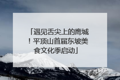 遇见舌尖上的鹰城！平顶山首届东坡美食文化季启动