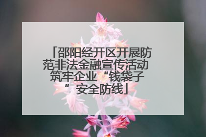 邵阳经开区开展防范非法金融宣传活动 筑牢企业“钱袋子”安全防线