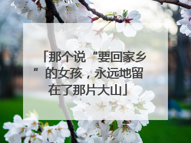 那个说“要回家乡”的女孩，永远地留在了那片大山