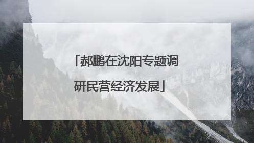 郝鹏在沈阳专题调研民营经济发展