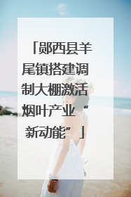 郧西县羊尾镇搭建调制大棚激活烟叶产业“新动能”