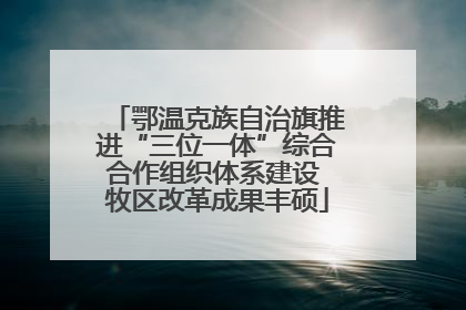 鄂温克族自治旗推进“三位一体”综合合作组织体系建设 牧区改革成果丰硕