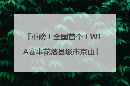 重磅！全国首个！WTA赛事花落县级市京山
