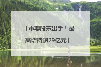重要股东出手！最高增持超29亿元