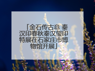 金石传古意 秦汉印春秋秦汉玺印特展在石家庄市博物馆开展