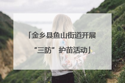 金乡县鱼山街道开展“三防”护苗活动