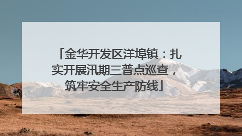 金华开发区洋埠镇：扎实开展汛期三普点巡查，筑牢安全生产防线