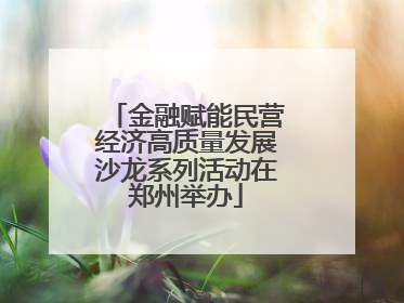 金融赋能民营经济高质量发展沙龙系列活动在郑州举办