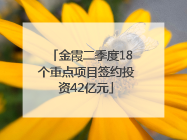 金霞二季度18个重点项目签约投资42亿元