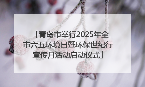 青岛市举行2025年全市六五环境日暨环保世纪行宣传月活动启动仪式