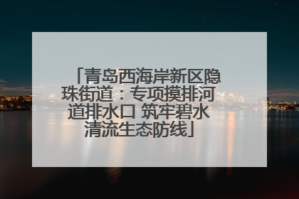 青岛西海岸新区隐珠街道：专项摸排河道排水口 筑牢碧水清流生态防线